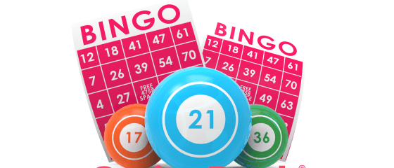 10 fakte interesante rreth Bingos që nuk i dinit